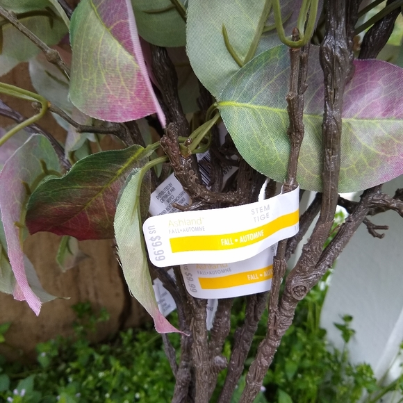 FLORALS - Picture 4 of 5